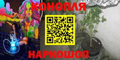 гидропоника Ставрополь