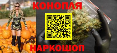 гидропоника Ставрополь